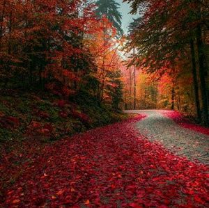 Meet your Posher, Miranda